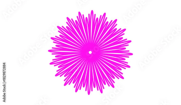 Obraz pink chrysanthemum flower