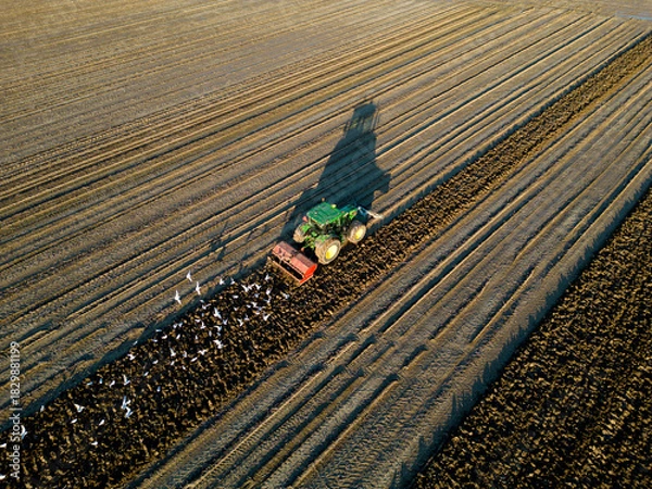 Fototapeta A tractor ploughing a field in autumn
