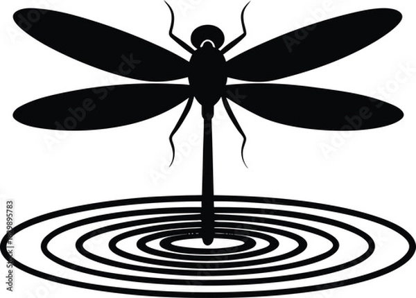 Obraz Black Dragonfly Silhouette on Water with Ripples

