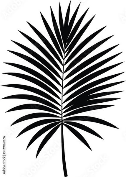 Obraz Black and White Tropical Palm Leaf Silhouette

