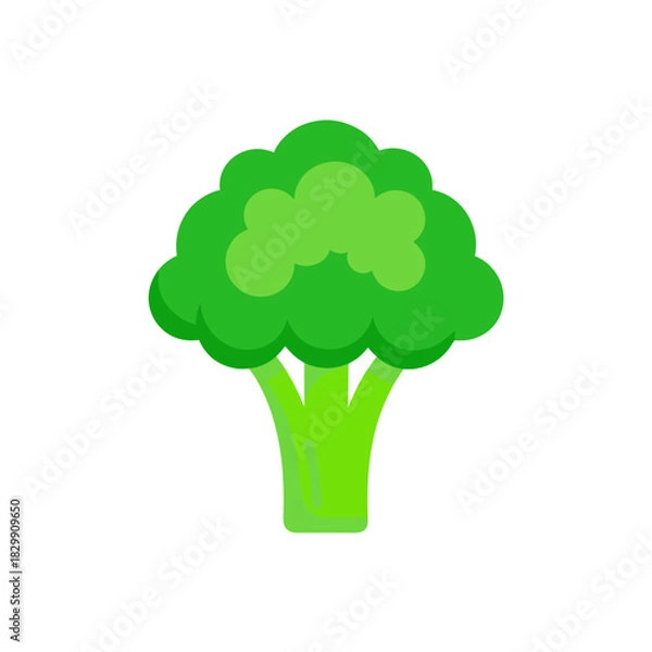 Obraz Illustration of a green broccoli on a white background on transparent background