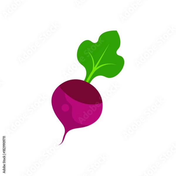 Obraz Illustration of a single beet with green leaves on transparent background