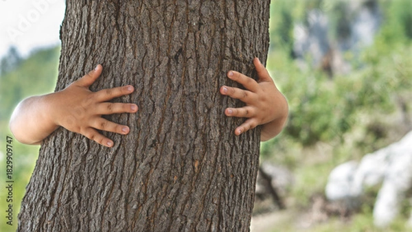 Fototapeta A child hugging a tree trunk