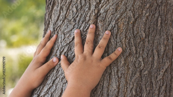 Fototapeta A child hugging a tree trunk
