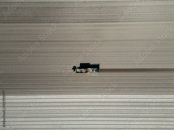 Fototapeta Aerial view of an agricultaral machine for planting tulip bulbs, the Netherlands