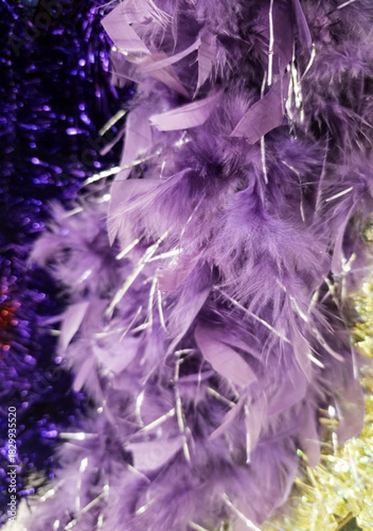 Fototapeta Decorative colored feathers