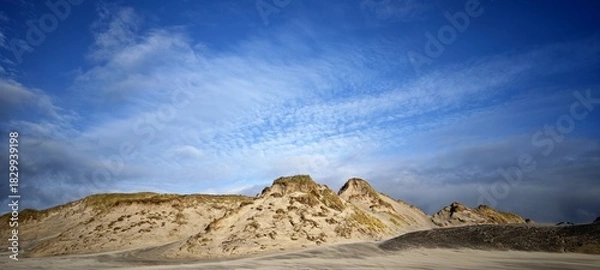 Obraz Dünenlandschaft in Jütland