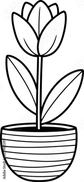 Obraz Simple outline drawing of a tulip flower in a striped pot