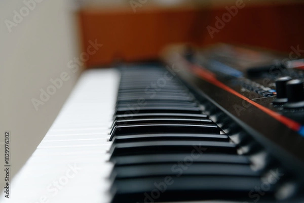 Obraz black and white synthesizer keyboard, close-up view, playing piano, selective focus