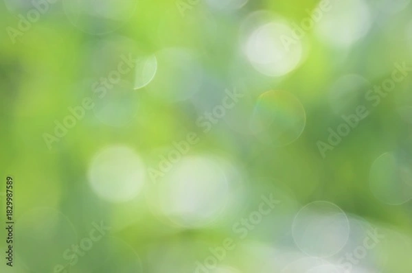 Obraz green bokeh abstract background