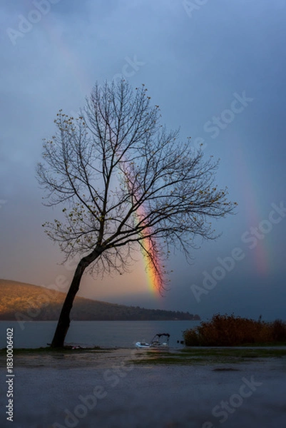 Obraz tree on the beach