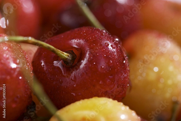 Fototapeta red cherry