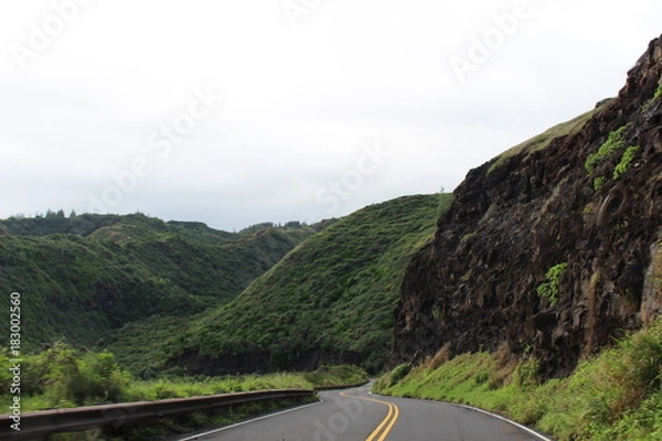 Obraz Maui North Coast
