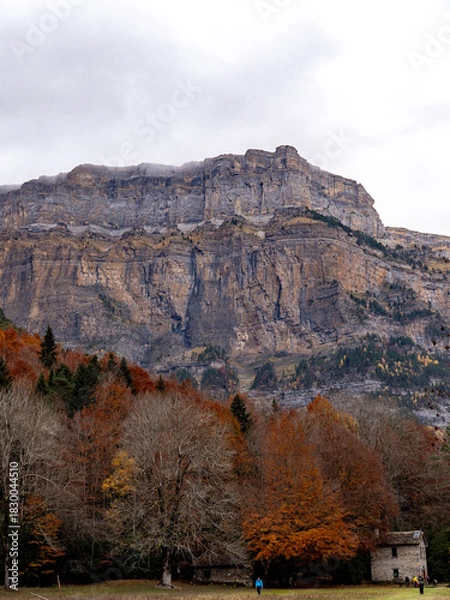 Obraz autumn landscape