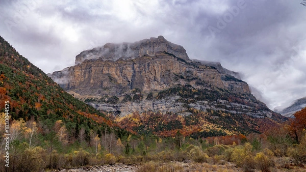 Obraz autumn landscape