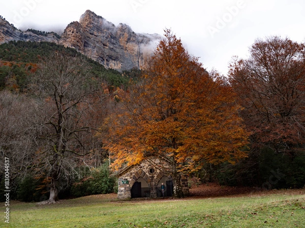 Obraz autumn landscape