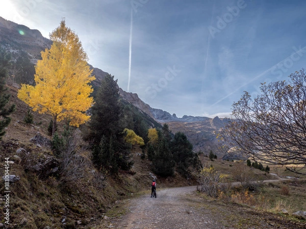 Obraz autumn landscape