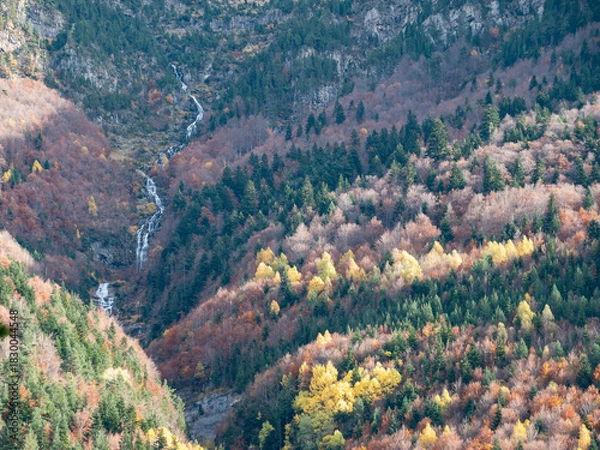 Obraz autumn landscape