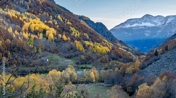 Obraz autumn landscape