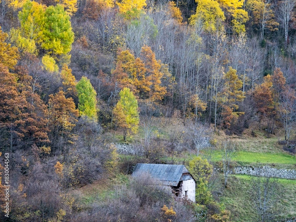 Obraz autumn landscape