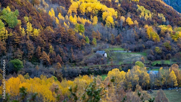 Obraz autumn landscape