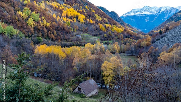 Fototapeta autumn landscape