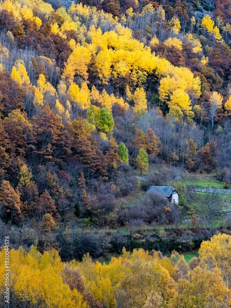 Obraz autumn landscape