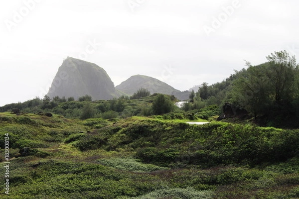 Obraz Maui North Coast