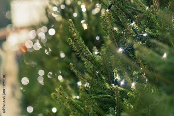 Fototapeta Close-up of a Christmas tree decorated with string lights, featuring soft bokeh illumination and green pine branches