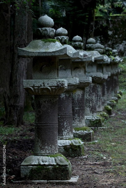 Obraz 立ち並んだ神社の灯籠