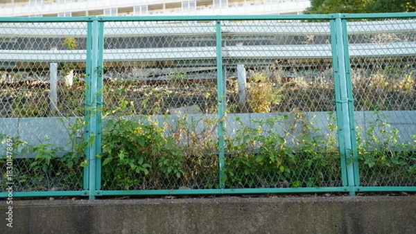 Fototapeta フェンス