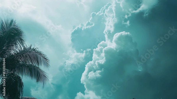 Fototapeta A cinematic and moody tropical scene featuring a dramatic teal sky with voluminous storm clouds looming over a silhouetted palm tree