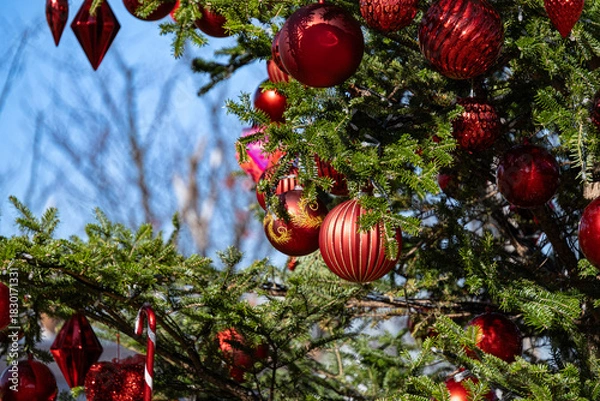 Obraz クリスマス