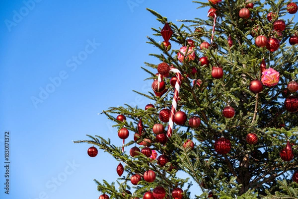 Obraz クリスマス