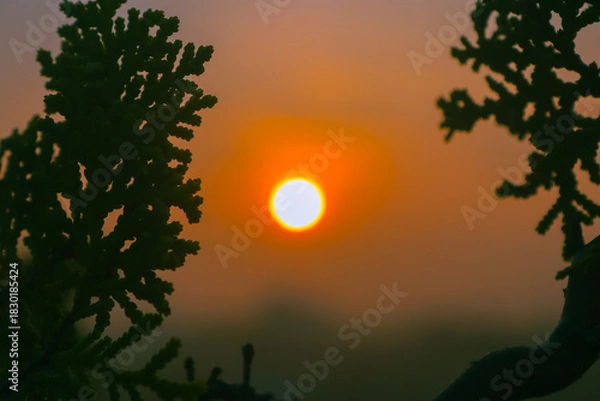 Obraz Rich Colorful Nature Background Vibrant Outdoor Scenery