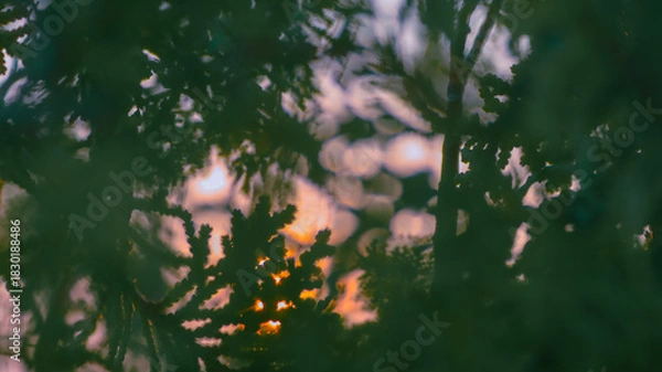 Obraz Rich Colorful Nature Background Vibrant Outdoor Scenery