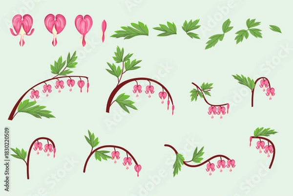 Obraz Bleeding Heart Flower Botanical Elements Collection