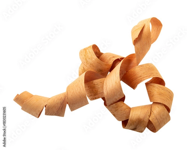 Fototapeta Abstract wood shavings sawdust isolated on transparent background