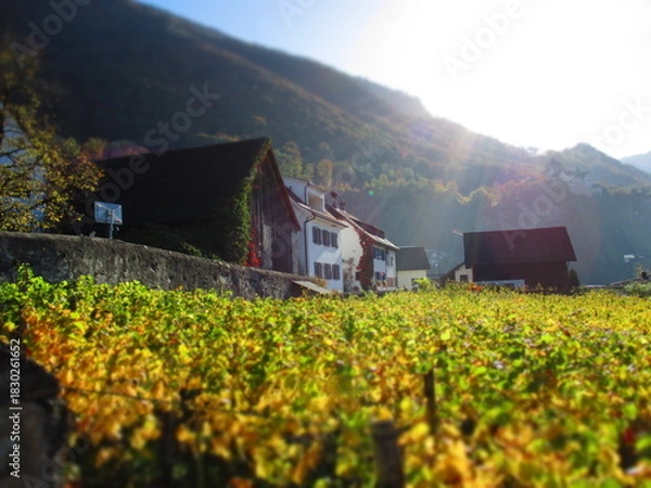 Obraz Vaduz, Liechtenstein - Diorama Effect