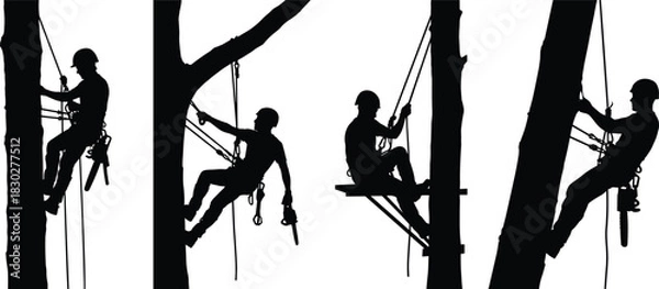 Fototapeta Professional Tree Climbing Arborists Silhouette Collection: Working High on Trunks, Chainsaw Safety, Skilled Tree Surgeons, Forestry and Landscaping