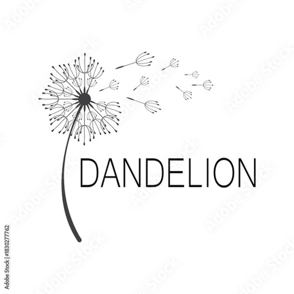 Obraz Dandelion logo simple vector and symbol