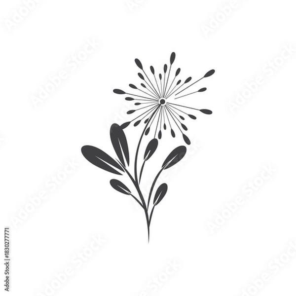 Obraz Dandelion logo simple vector and symbol