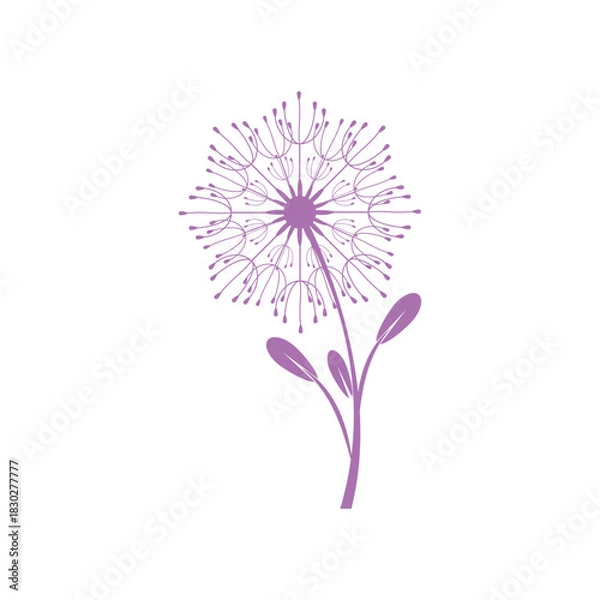 Obraz Dandelion logo simple vector and symbol