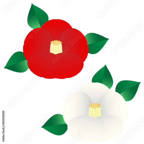 Obraz シンプルで可愛い赤と白の椿のイラストセット