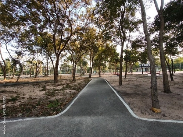 Fototapeta Empty Walking Path in a Forest Park at Sunset