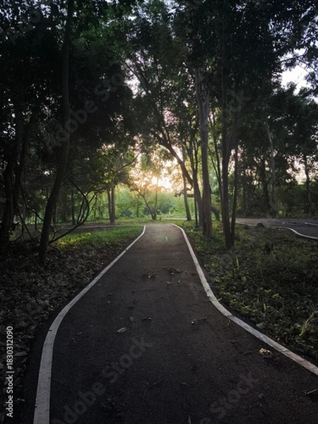 Fototapeta Sunset Path Through Forest Park Trees