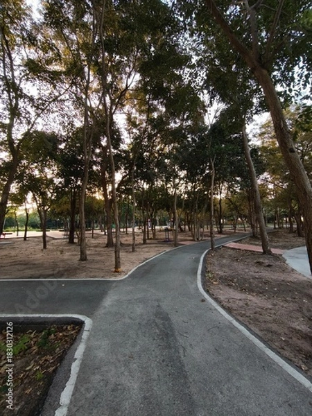 Fototapeta Tree-lined Park Pathway in the Evening