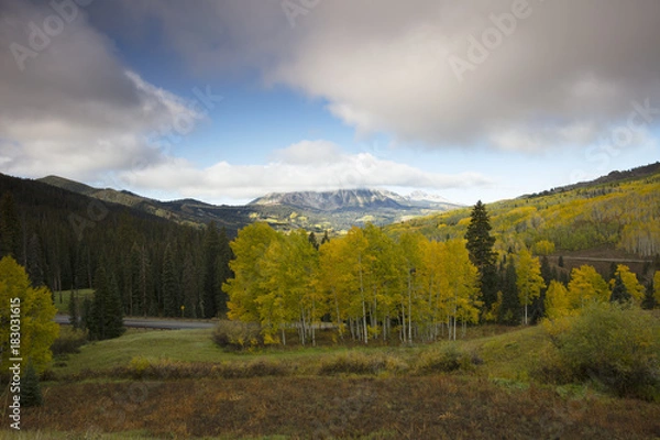 Fototapeta Fall Autumn colors with clouds above in Kebler Pass, near Crested Butte, Colorado United States of America in the Autumn Fall
