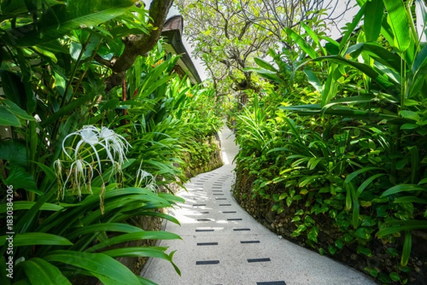 Obraz A quiet garden without many people passing by where many green tropical plants decorate it