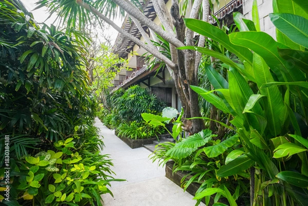 Obraz A quiet garden without many people passing by where many green tropical plants decorate it